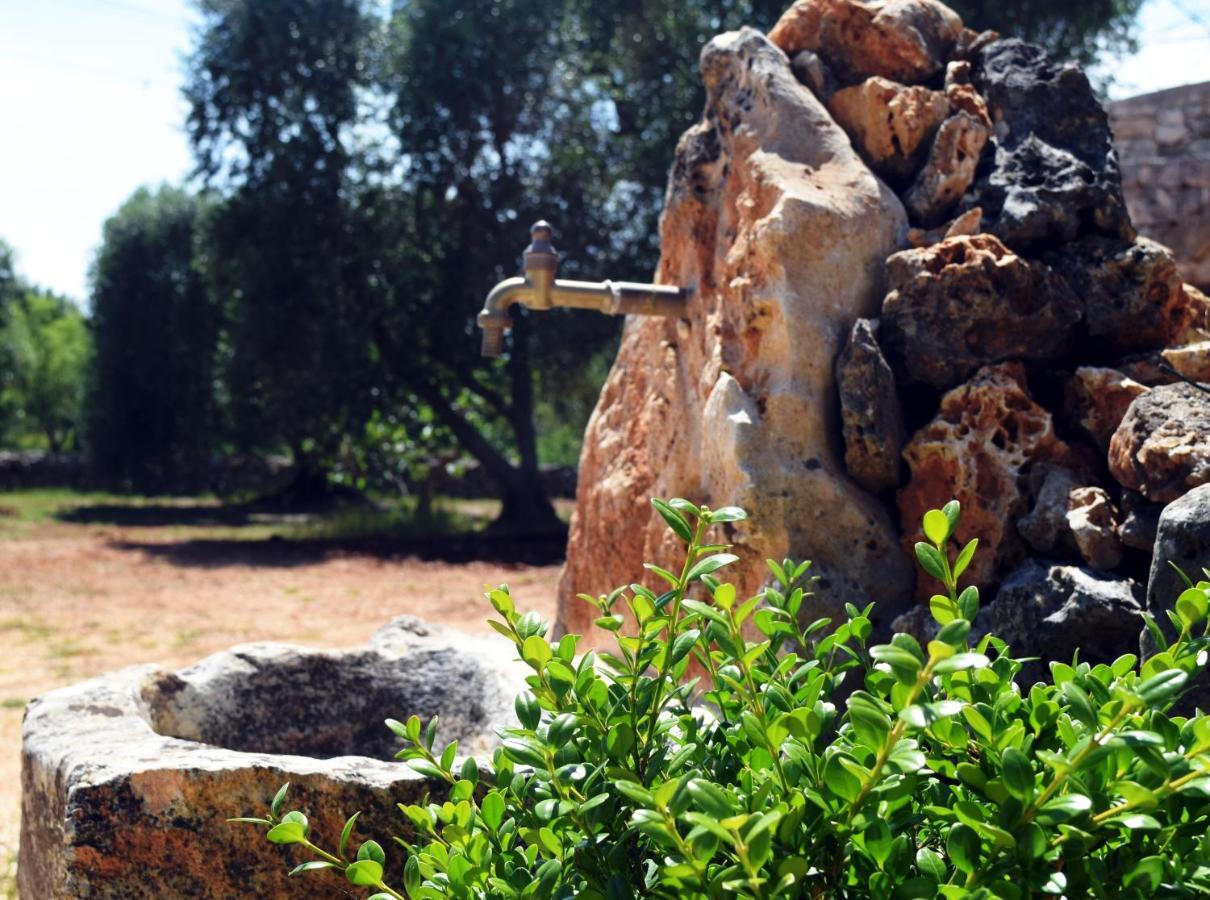 Dimore Storiche - Ulivo Di Aldo Martina Franca Exterior foto